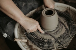 Programs and Workshops for Everyone